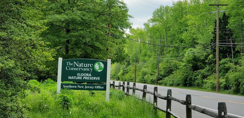 Over 50 Threatened Plant Species Growing Right Under Your Feet