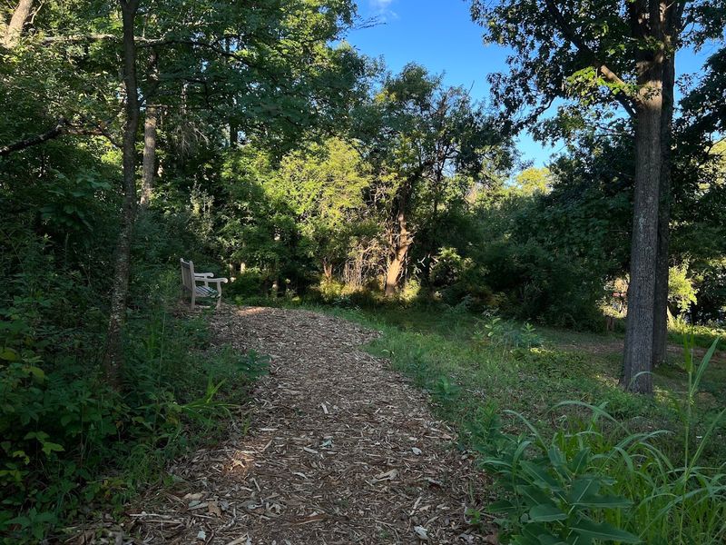 The Oak and Hickory Allee That Frames the Landscape Like a Painting
