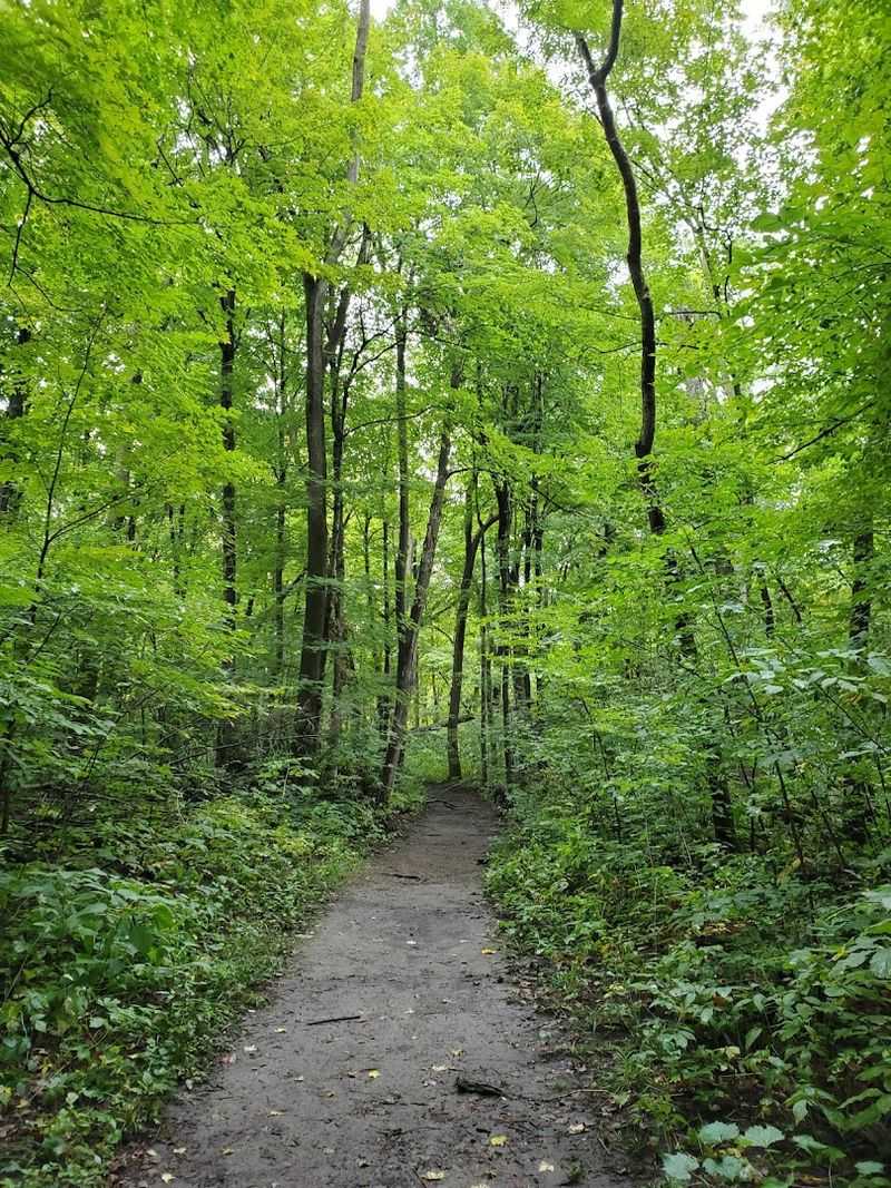 How Close the Highway Really Is