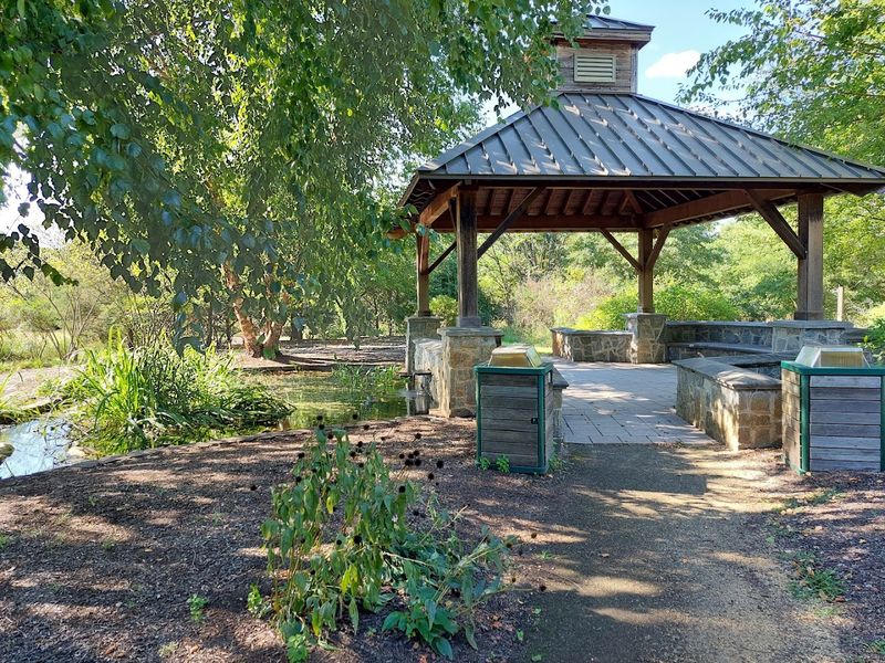 Rancocas Creek and Its Waterfowl Parade