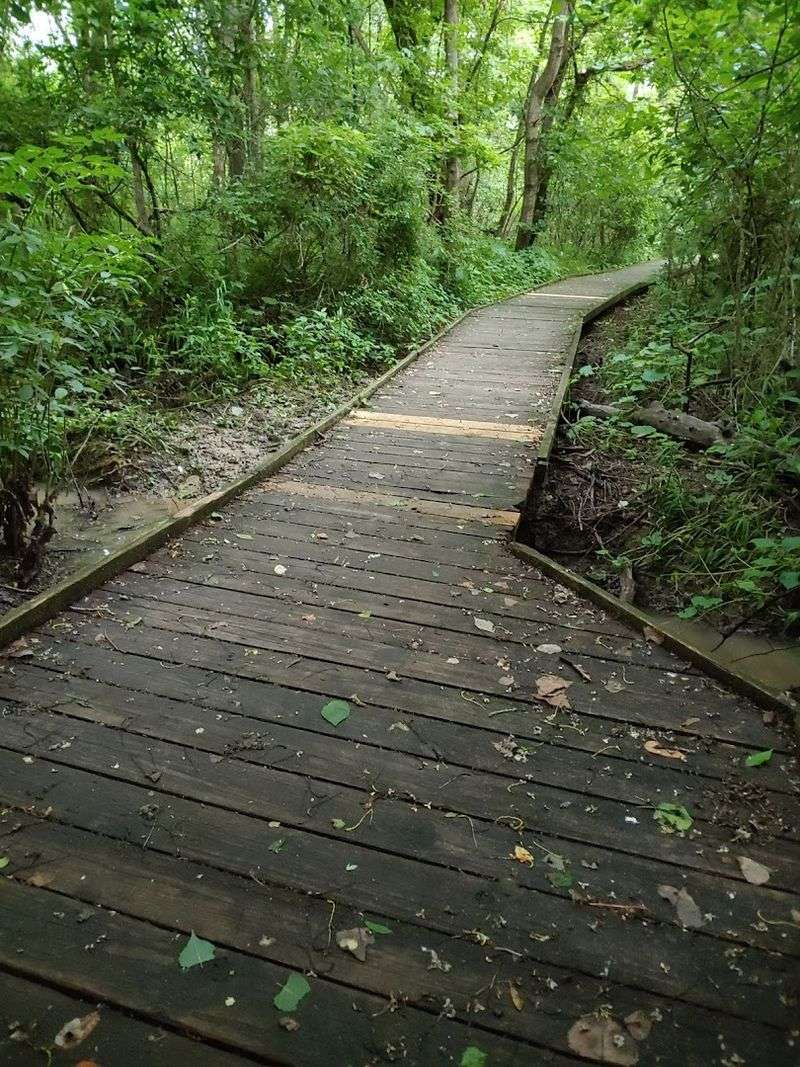 A Wetland Ecosystem That Surprises at Every Turn