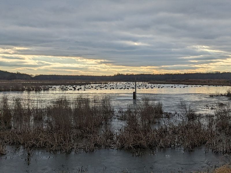 Wildlife Photography Opportunities Around Every Bend