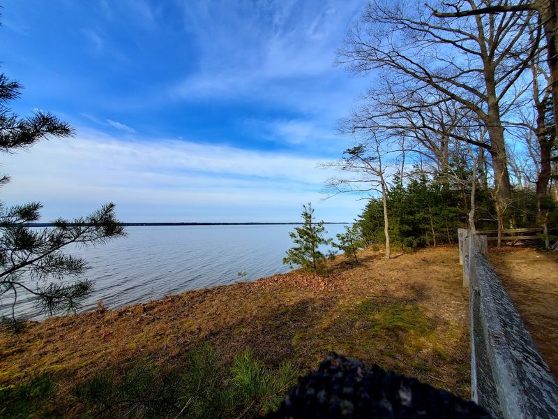 Guided Fossil Hunt Programs Run by Park Rangers