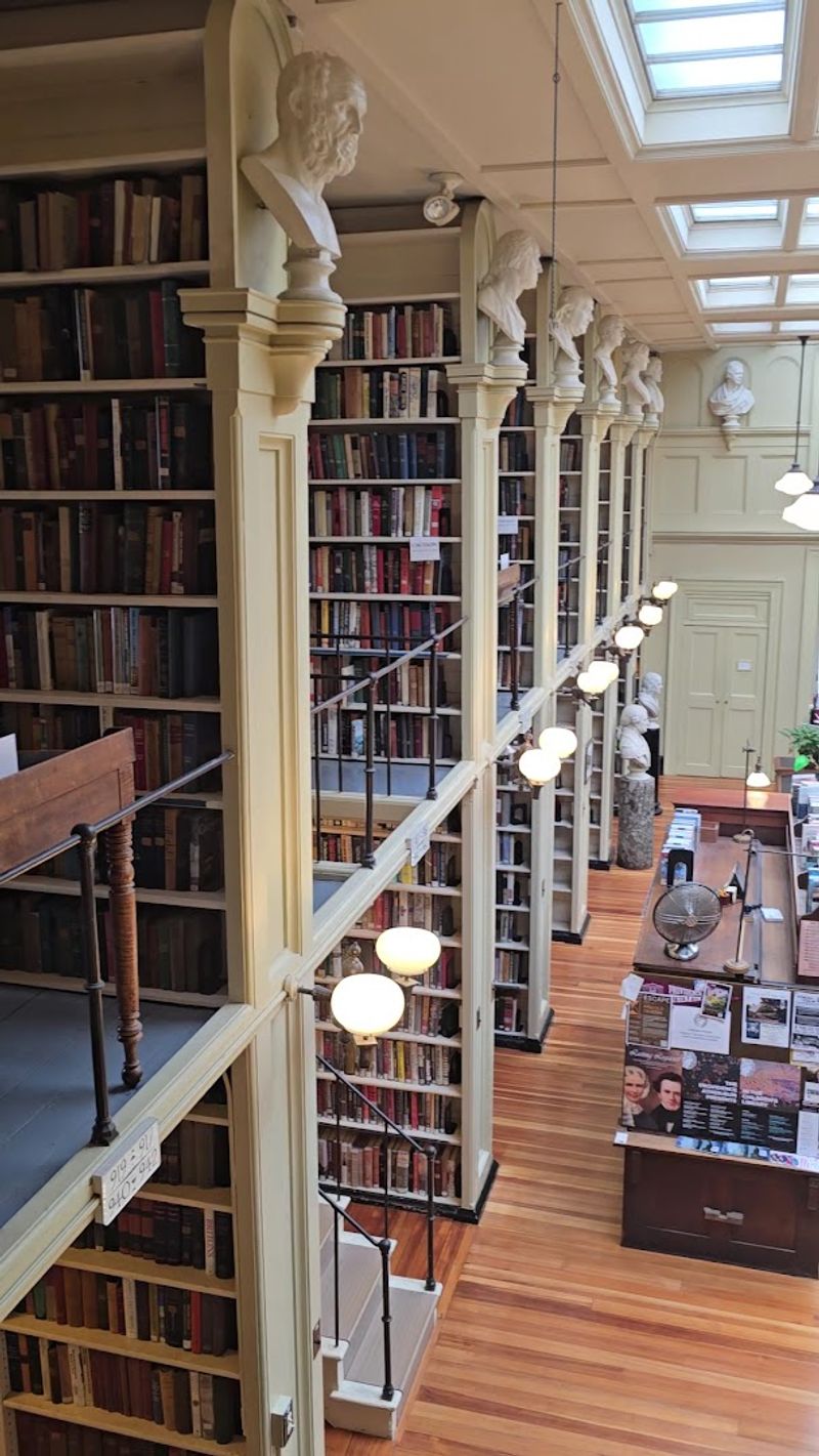 Marble Busts Keeping Silent Watch Over The Stacks