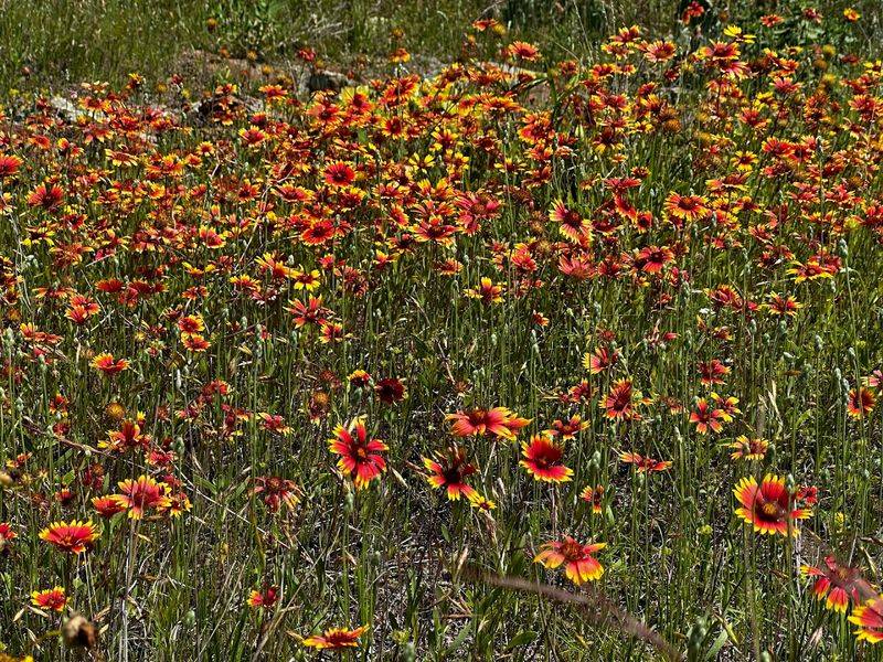 Wildlife and Nature Make Every Step Feel Alive