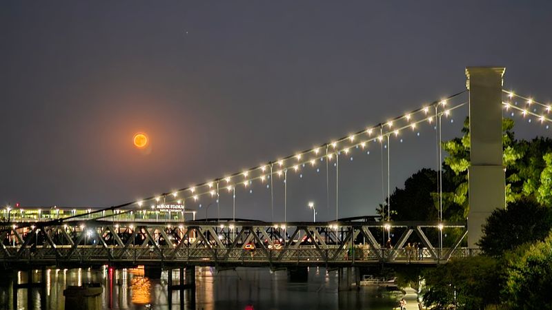 A Free Walk with a View Worth Every Step