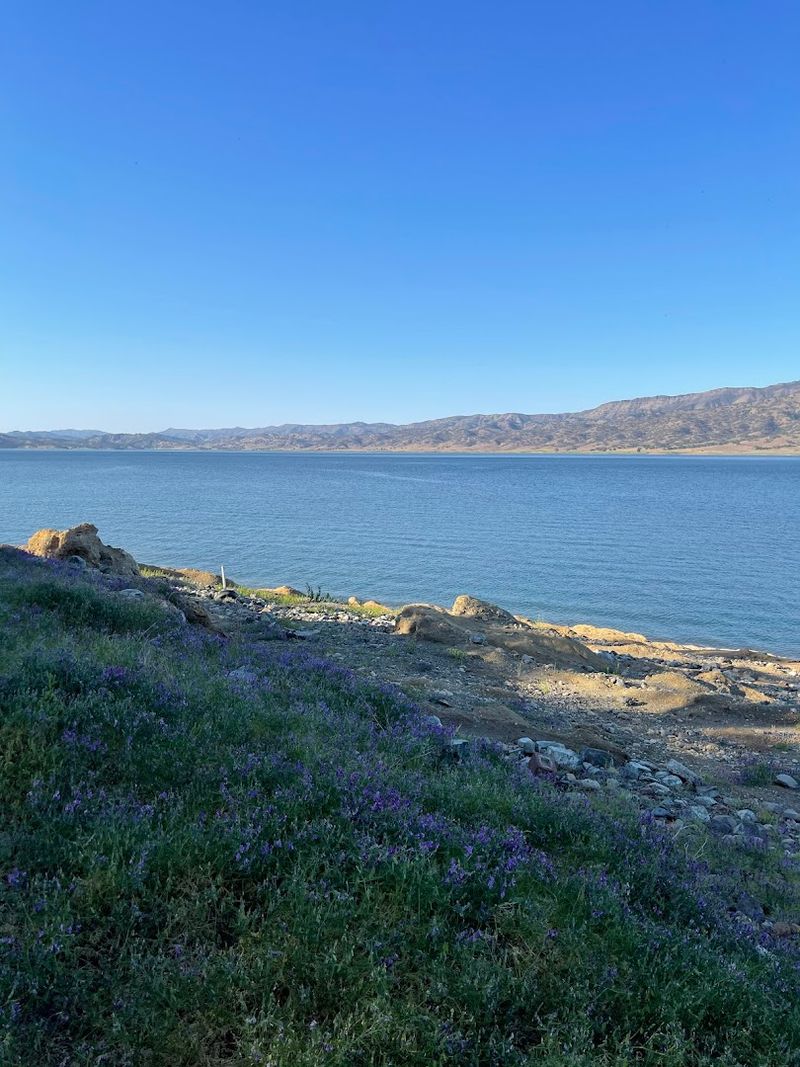 Dorothea Lange Photographed The Town's Final Days