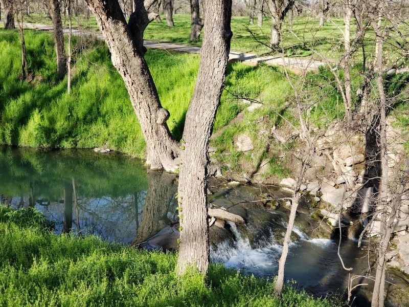 Bird blinds That Turn Casual Visitors Into Wildlife Watchers