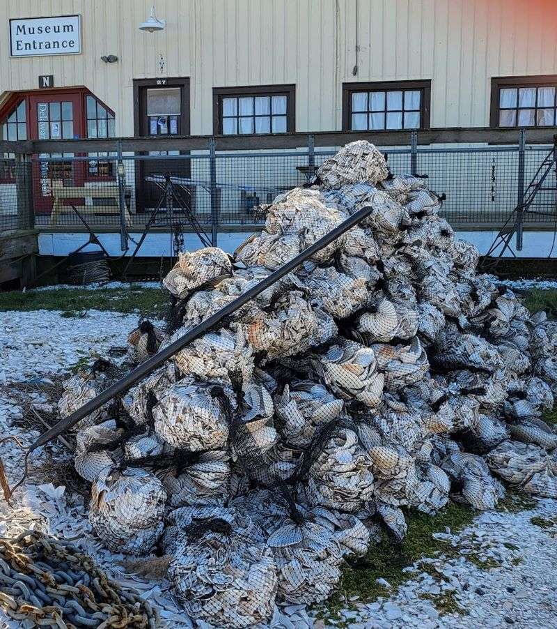 The Maurice River: The Waterway That Made It All Possible