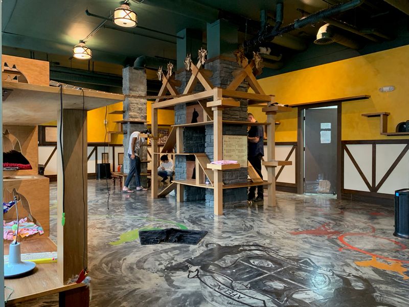 Wooden Platforms And Suspension Bridges For The Cats