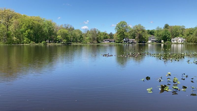 Grovers Mill Pond: Surprisingly Peaceful for a 