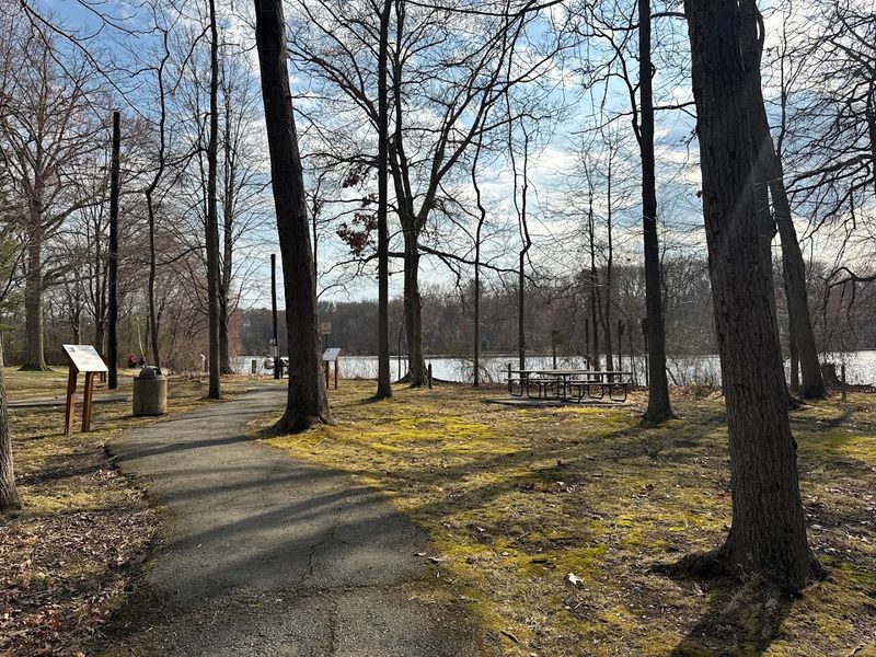 The Eagle Scout Trail That Tells the Whole Story