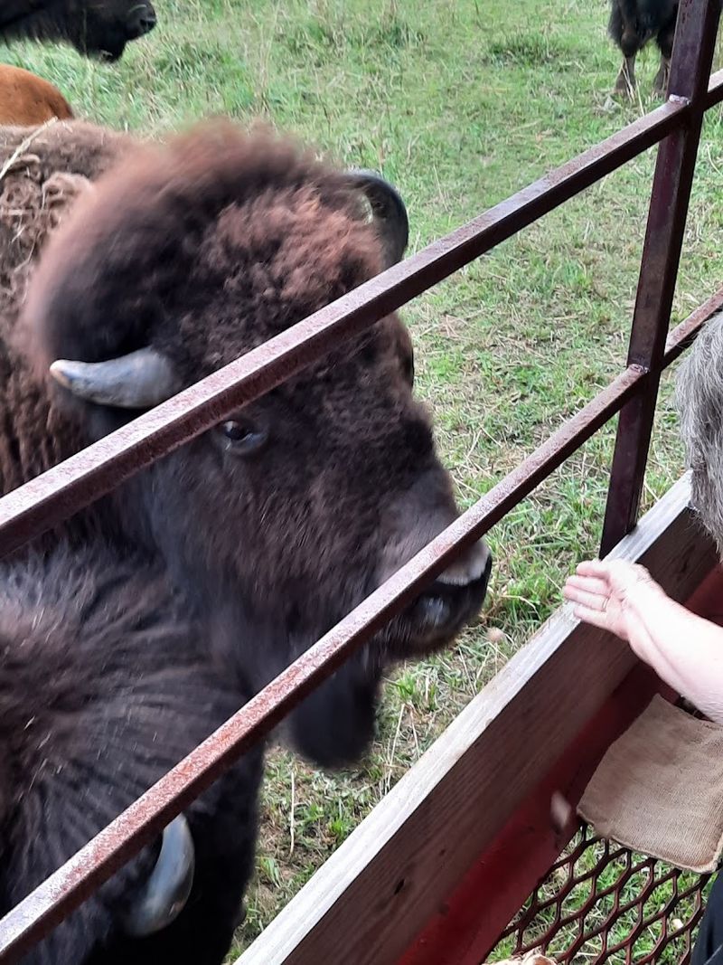 A Perfect Day Trip Destination Near Shipshewana and LaGrange County