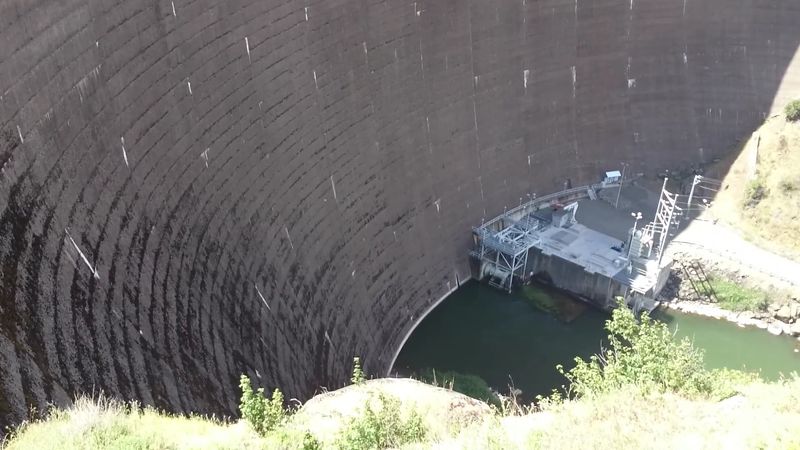 Monticello Dam Rose Across Putah Creek