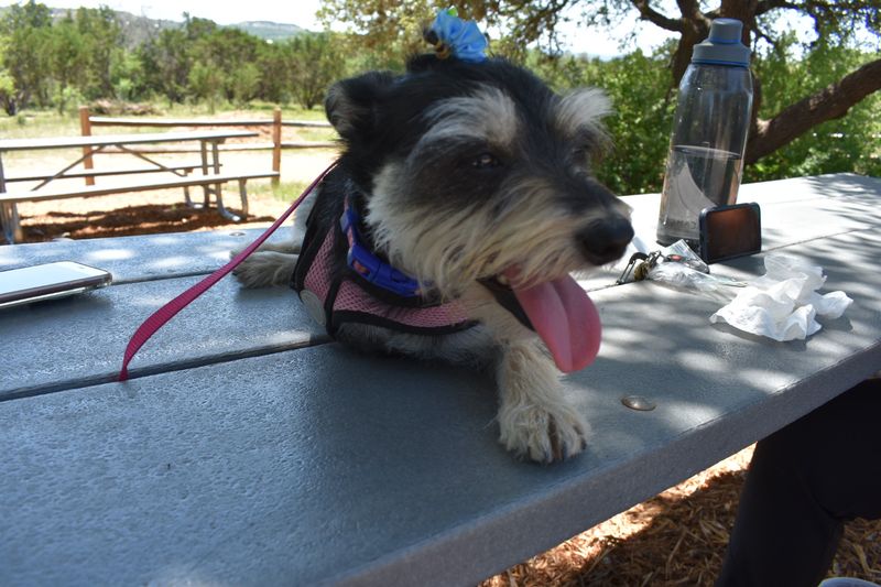 Picnic Areas and Amenities That Make It a Full Outing