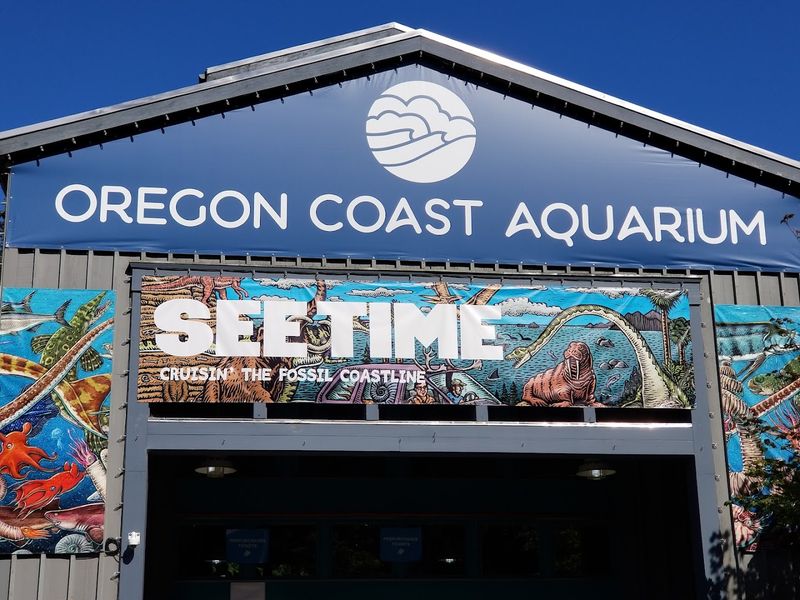 Planning Your Visit to Oregon Coast Aquarium