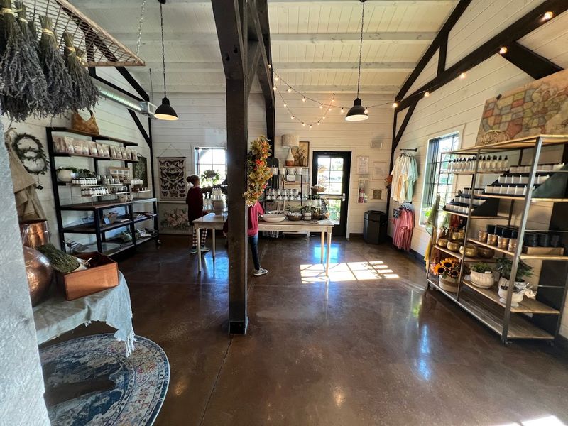 The Gift Shop Has Lavender Everything