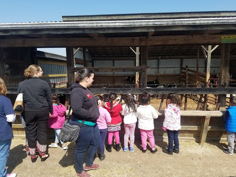 Self-Guided Farm Tours That Actually Teach You Something