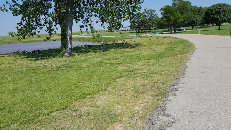 Walking the Loop Around the Lake