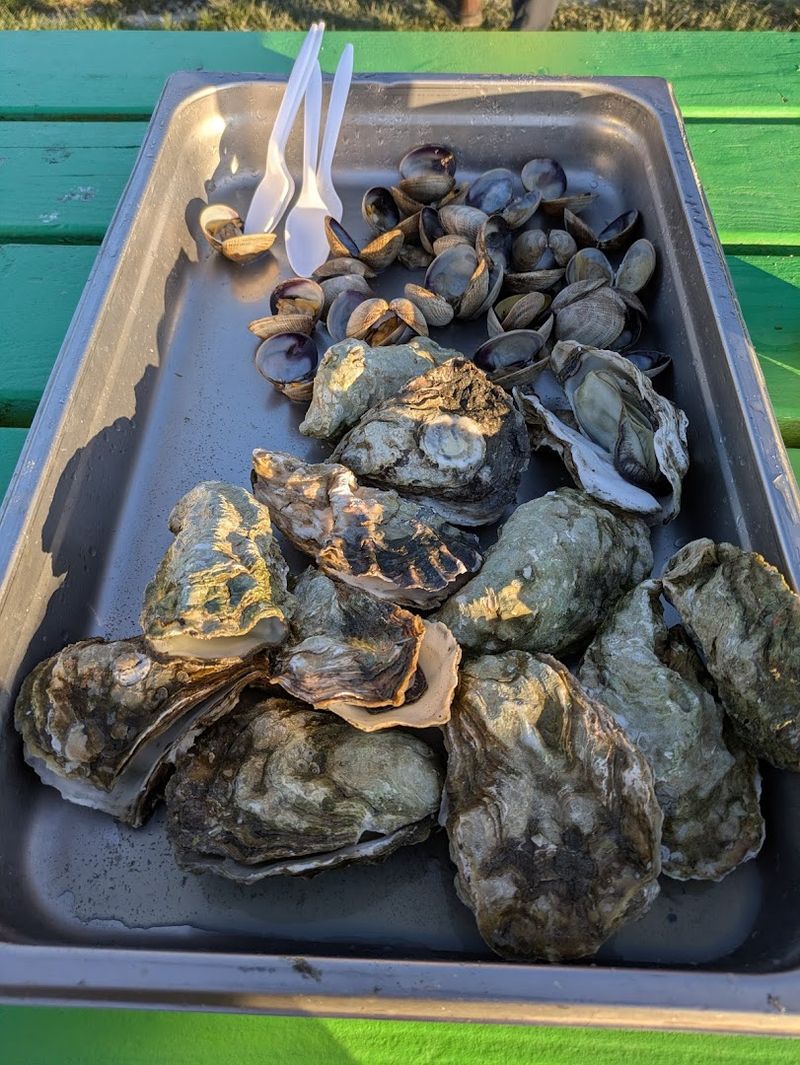 Clams and Oysters Worth Every Bite