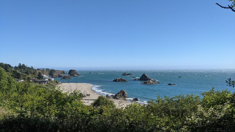 Trails That Wind Through Coastal Forest