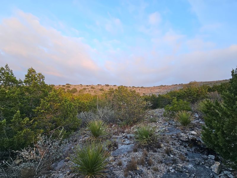 The Park Hours and Planning Your Visit