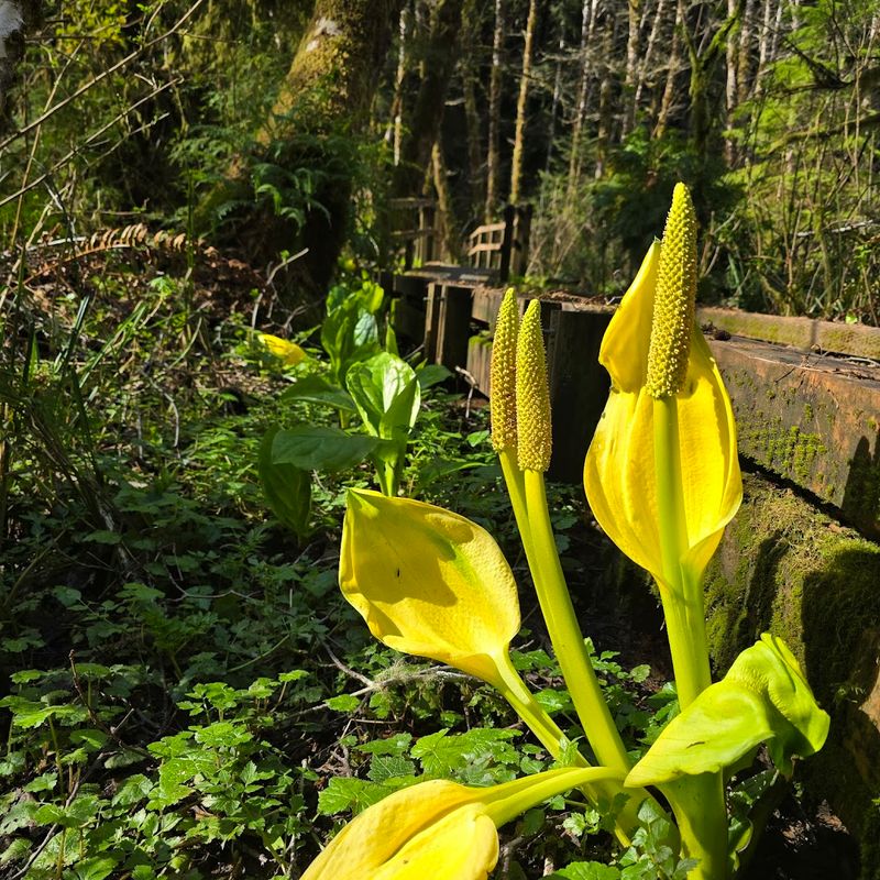 Ranger Talks and Living History Demonstrations