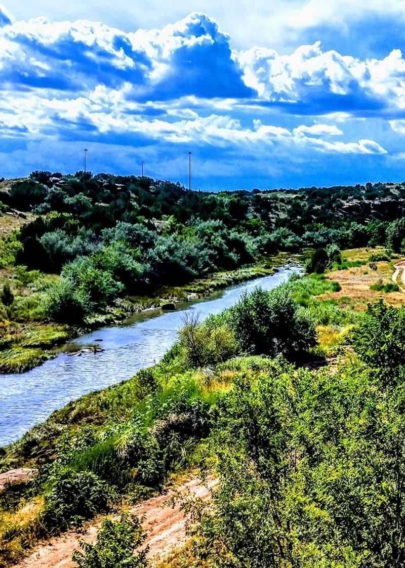 The Picnic Area: A Surprisingly Perfect Spot to Pause