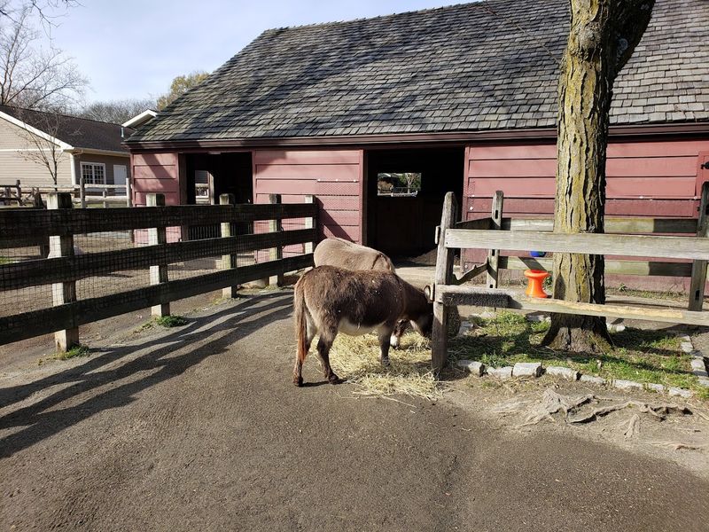 Budget-Friendly Without Feeling Cheap