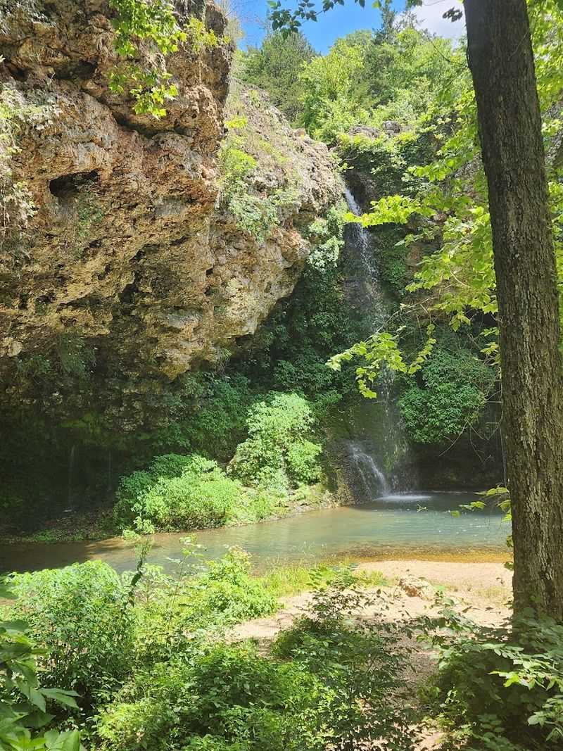 Disc Golf and Open Fields for Family Fun