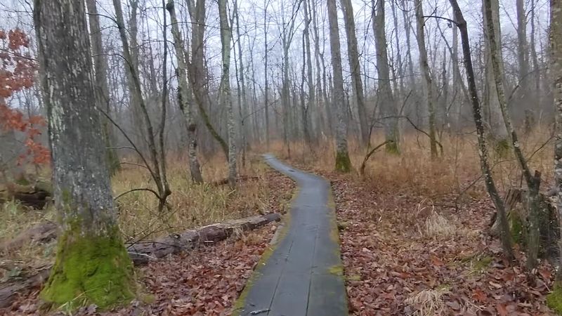 A Genuinely Secluded Escape From Everyday Noise