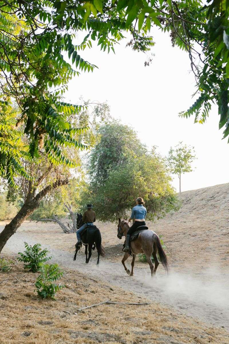 Horseback Riding and Multi-Use Trail Access
