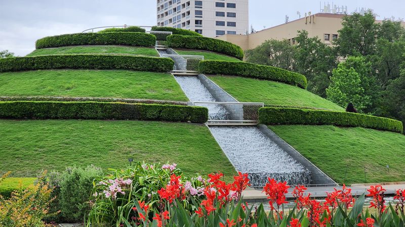 The Woodland Garden With Azaleas and Camellia Shade