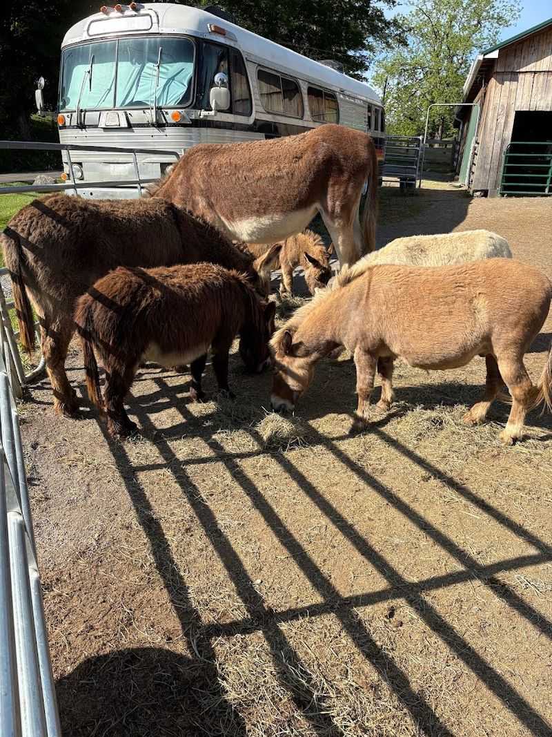 Christal and Jane: Hosts Who Genuinely Make the Difference