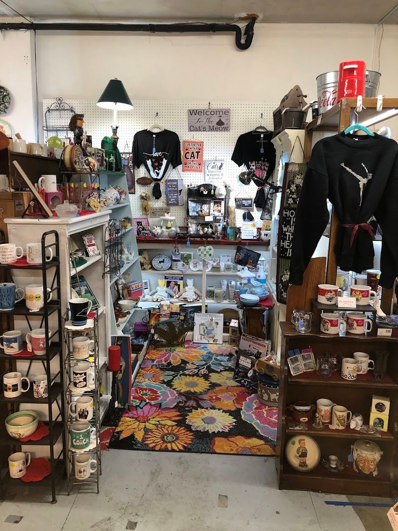 Tips for Getting the Most Out of Your Visit