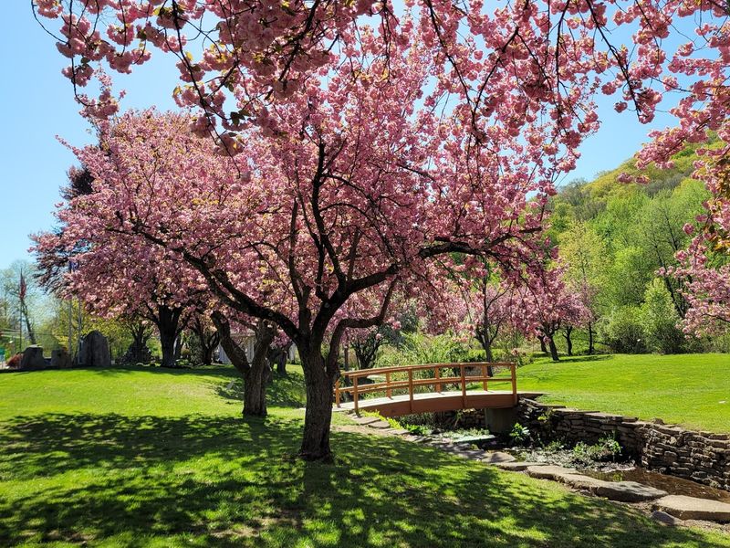 A River Runs Through It, and That Is Half the Magic