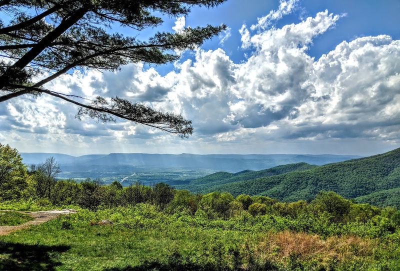Shenandoah Valley Scenery That Redefines the Drive