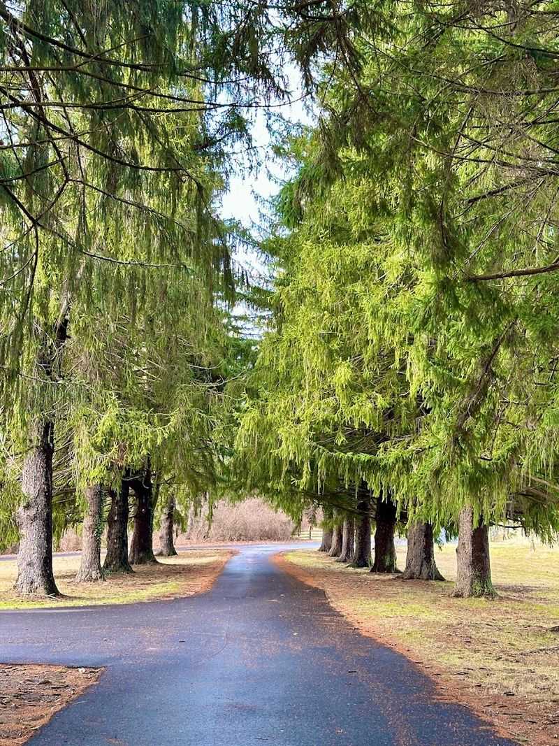 Hiking the Grounds at Your Own Pace