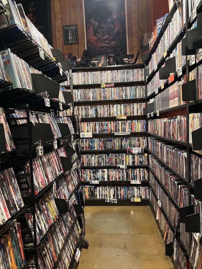 An Entire Wall Of Movies Featuring Monkeys