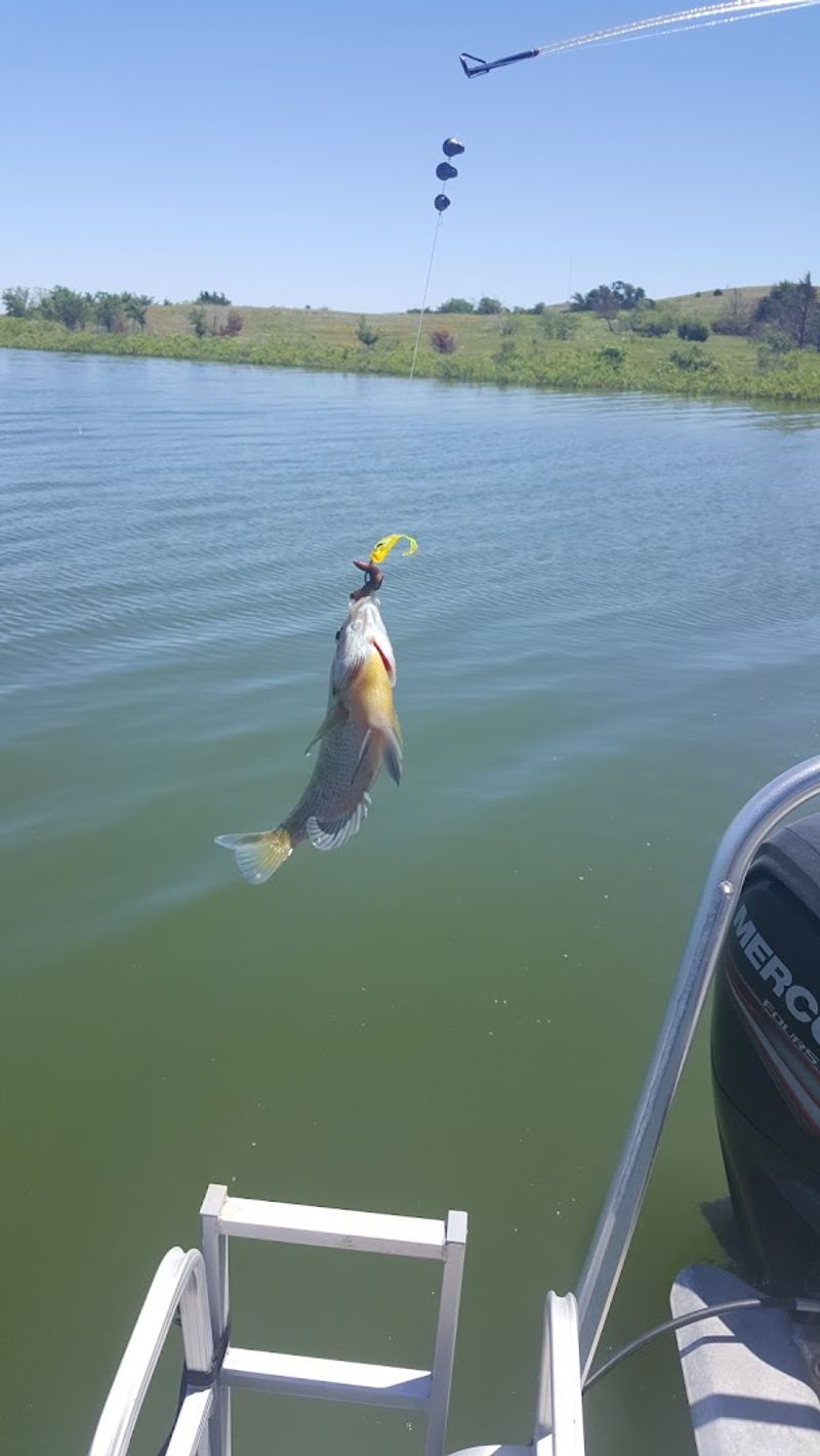 Bass Fishing Strategies Worth Knowing Before You Go