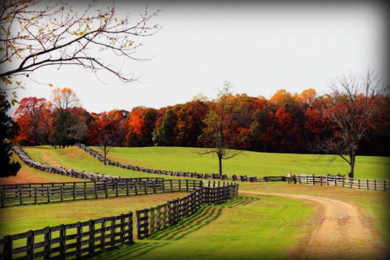 Wildlife And Wildflowers: Nature Thrives On Historic Ground