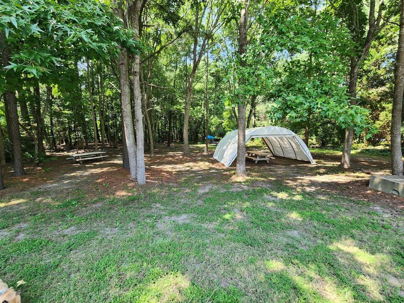 Outdoor Picnic Tables Under the Trees: Pure Eastern Shore Magic