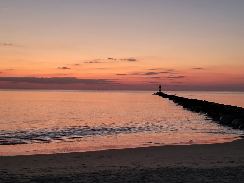 Birdwatching That Will Genuinely Surprise You