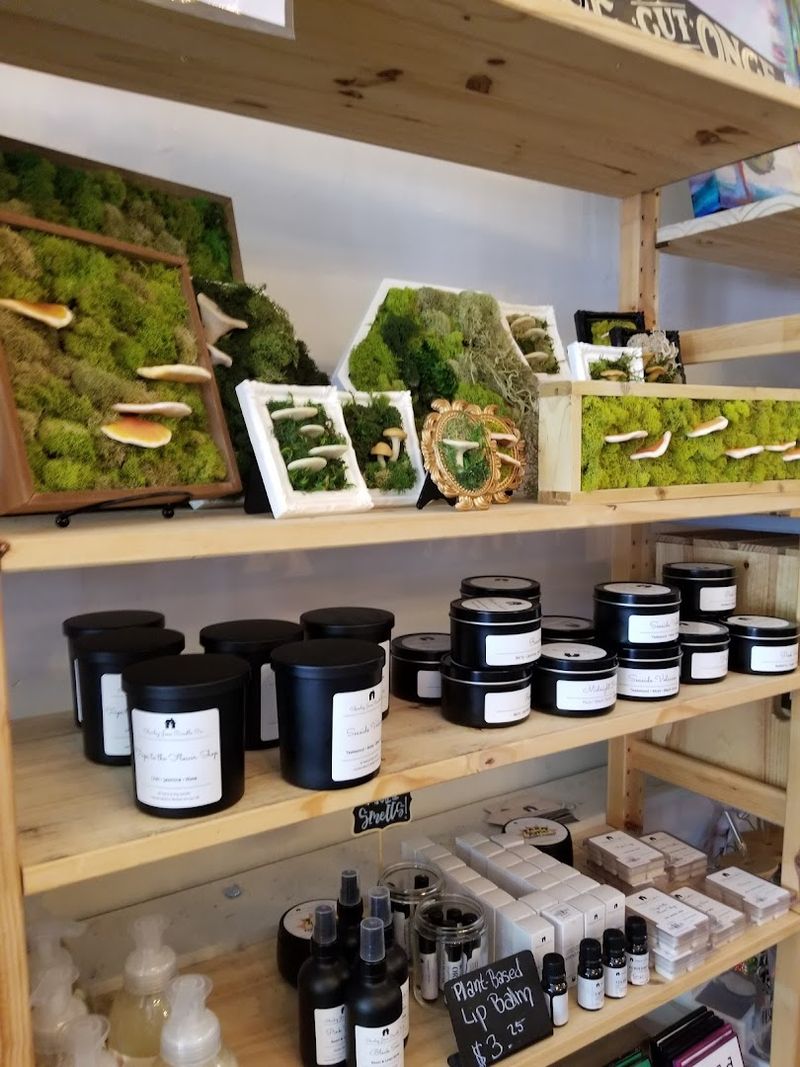 Seasonal Rhythms and What to Expect Throughout the Year