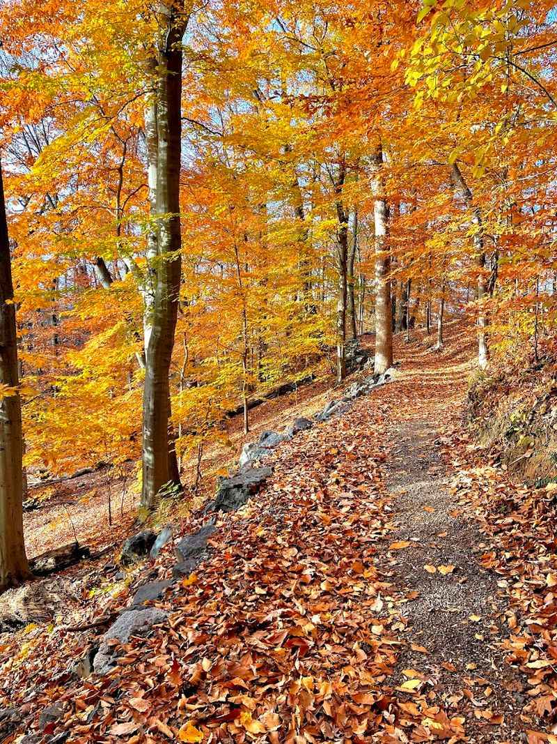 Trails That Feel Like a Reward, Not a Workout