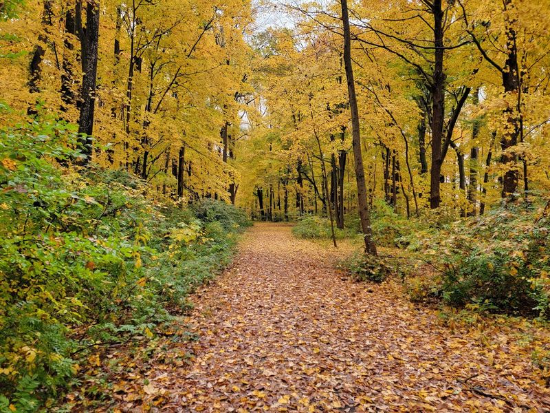 Seasonal Visits: Why Every Time of Year Brings Something New