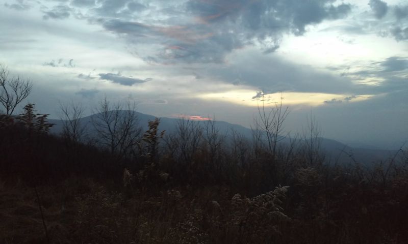 Seasonal Beauty That Changes the Whole Mood