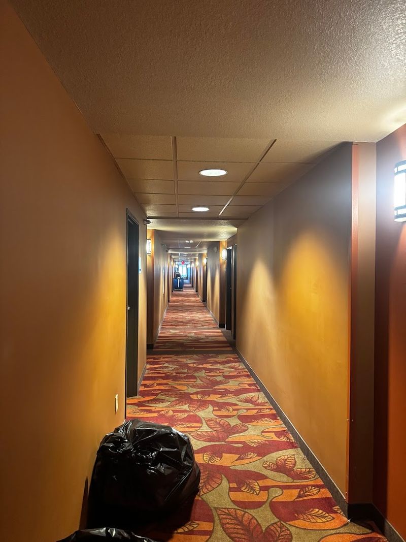 Room Setup and Practical Amenities