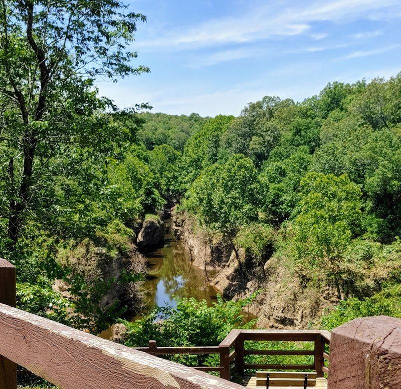 Wildlife and Plant Life Around the Canyon