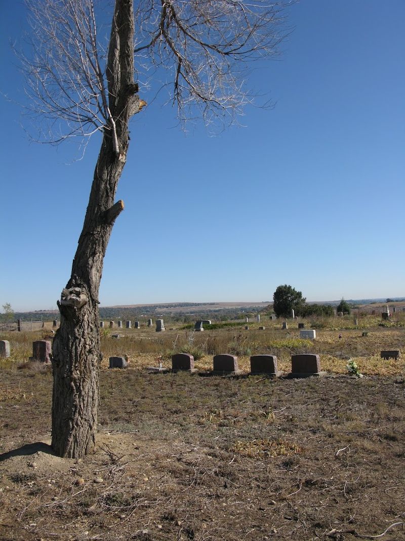 Paranormal Reports and Strange Encounters